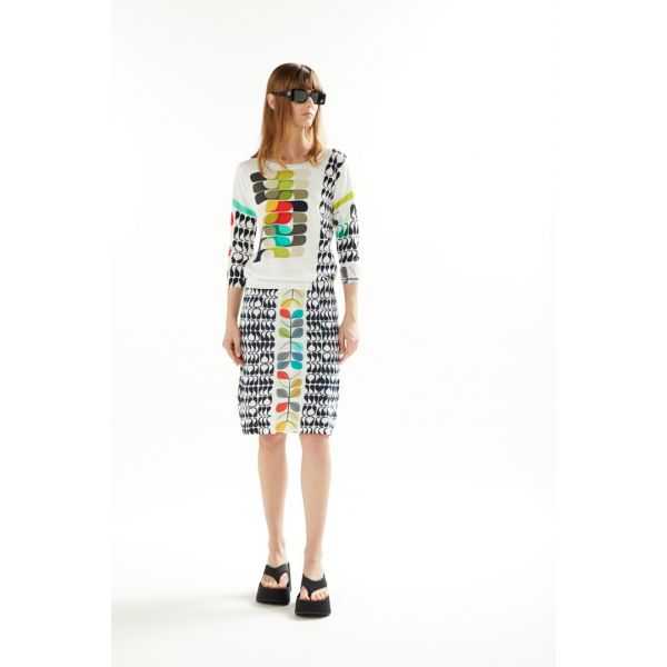 Skirt with Pop print double use