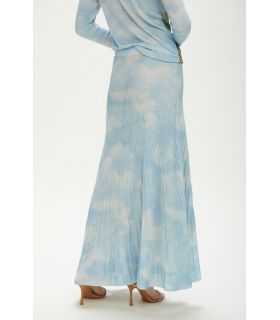 Long pleated skirt with Sky print